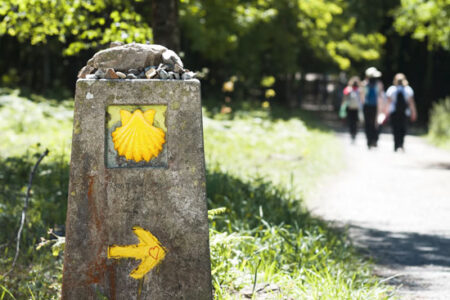 Parenthood: A Pilgrimage